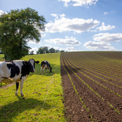 Entreprises Auvergne-Rhône-Alpes : Agriculture et élevage