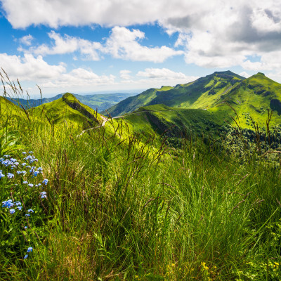 Entreprises Auvergne-Rhône-Alpes : Cantal (15)