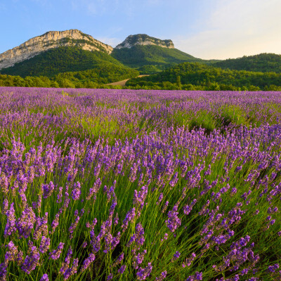 Entreprises Auvergne-Rhône-Alpes : Drôme (26)