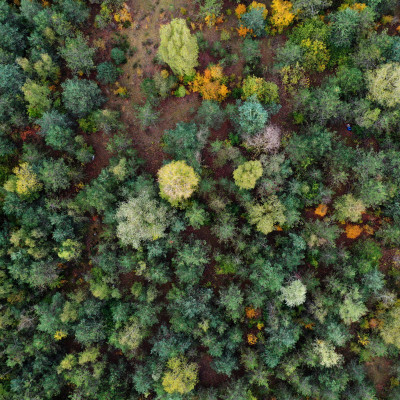 Entreprises Auvergne-Rhône-Alpes : Environnement