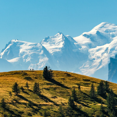 Entreprises Auvergne-Rhône-Alpes : Haute-Savoie (74)