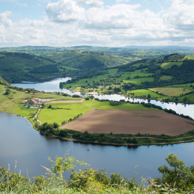 Entreprises Auvergne-Rhône-Alpes : Loire (42)